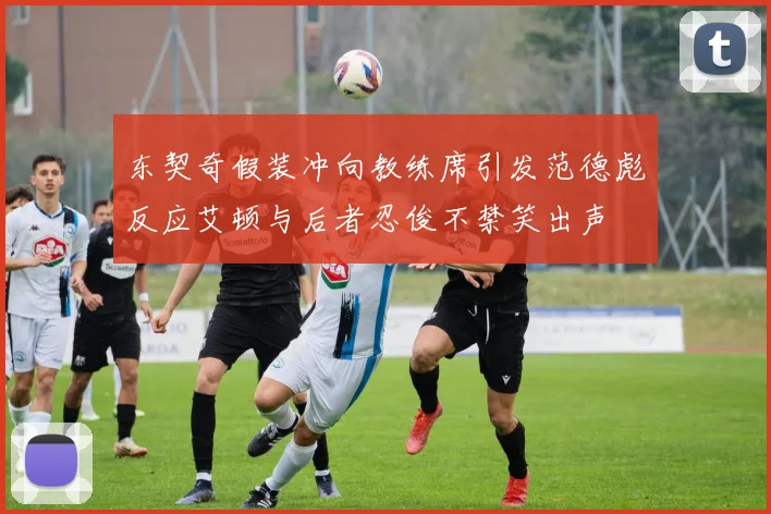 东契奇假装冲向教练席引发范德彪反应艾顿与后者忍俊不禁笑出声
